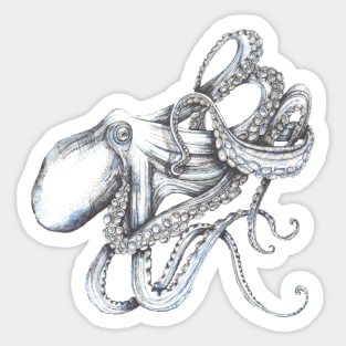 Octopus on blue Sticker